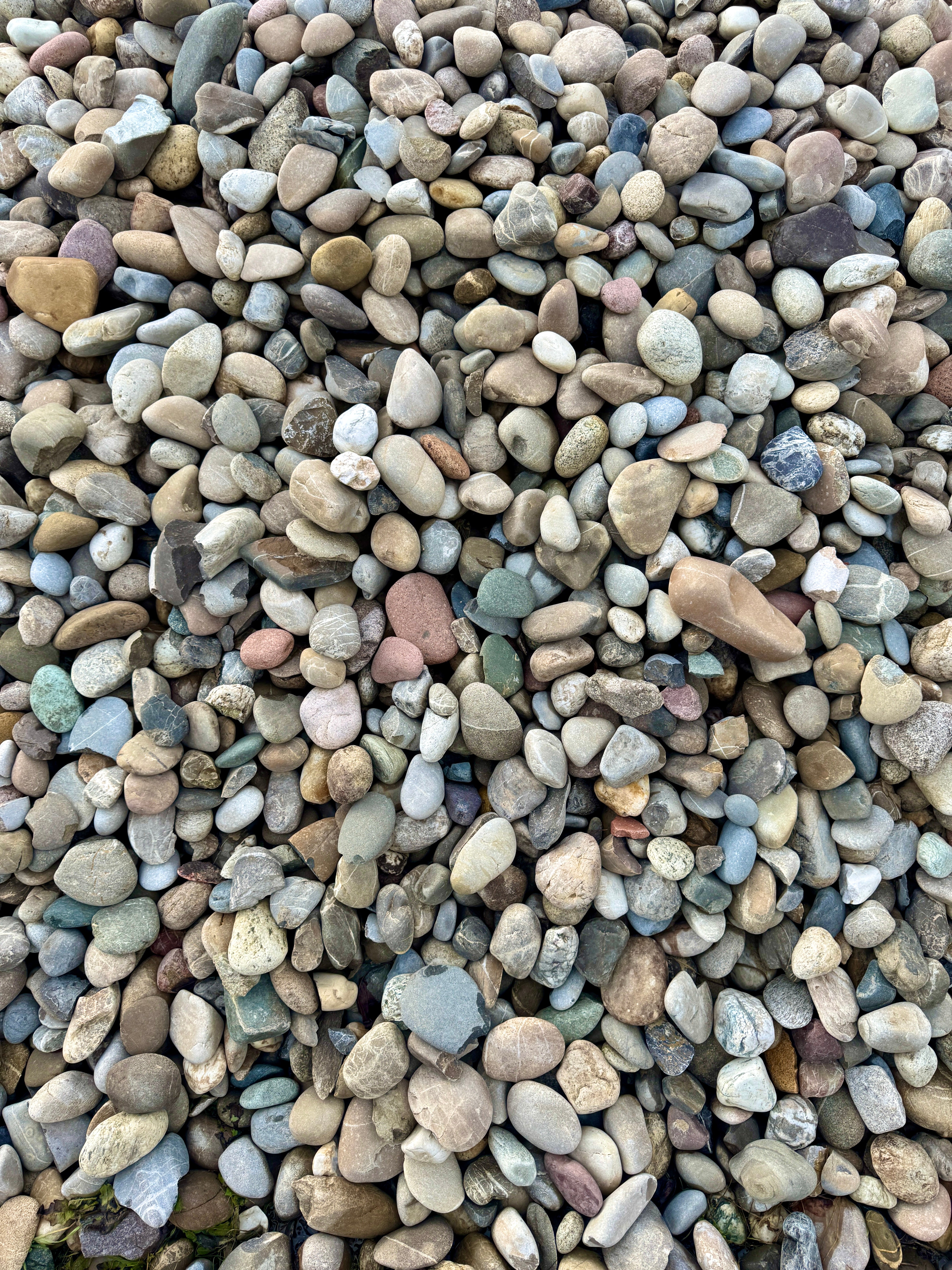 Rheinkiesel grau/bunt, 50/80 - 80/150